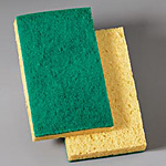 Sponges & Scrubbers