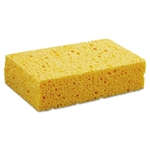 Sponge Pads 