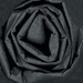 20 x 30 BLACK COLORED WRAPPING TISSUE 480SH/Cs - T2030D