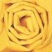 20 x 30 BUTTERCUP COLORED WRAPPING TISSUE 480SH/Cs - T2030G