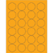1 5/8" Fluorescent Orange 2400/Cs - LL193OR