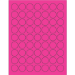 1" Fluorescent Pink 6300/Cs - LL191PK