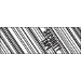 2 x 110 yds. Security Tape Print (6 Pack) Tape Logic Security Tape 6 Rolls/Cs - T902ST036PK