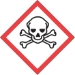 2 x 2 Pictogram - Skull and Crossbones Labels 500/Roll - DL4248
