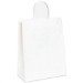 5 1/4 x 3 1/4 x 8 3/8 White Paper Shopping Bags 250/Cs - BGS101W