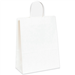 5 1/4 x 3 1/4 x 8 3/8 White Paper Shopping Bags 250/Cs - BGS101W