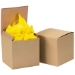 6 x 6 x 6 Kraft Gift Boxes 100/Cs - GB666K