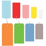 13 PT Shipping Tags Colored Pre-Wired 
