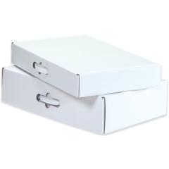 Corrugated Carrying Case 