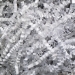 10 lb. White Crinkle Paper - CP10B