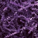 10 lb. Purple Crinkle Paper - CP10K