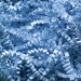10 lb. Light Blue Crinkle Paper - CP10M