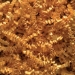 10 lb. Cognac Crinkle Paper - CP10Q