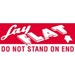 2 X 5 - Lay Flat - Do Not Stand On End Labels 500/Roll - DL1420