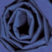20 x 30 PARADE BLUE COLORED WRAPPING TISSUE 480SH/Cs - T2030C