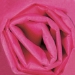 20 x 30 BRIGHT PINK COLORED WRAPPING TISSUE 480SH/Cs - T2030F