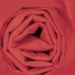 20 x 30 SCARLET COLORED WRAPPING TISSUE 480SH/Cs - T2030H
