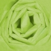 20 x 30 Citrus Green Gift Grade Tissue Paper 480/Cs - T2030N