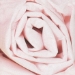 20 x 30 Light Pink Gift Grade Tissue Paper 480/Cs - T2030P