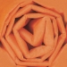 20 x 30 Orange Gift Grade Tissue Paper 480/Cs - T2030S
