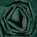 20 x 30 Evergreen Gift Grade Tissue Paper 480/Cs - T2030T