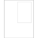 Integrated Laser Labels 